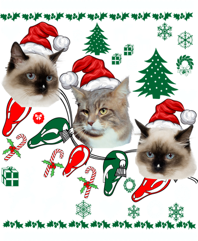 Ugly Cat Christmas Sweatshirt Sweater Coaster