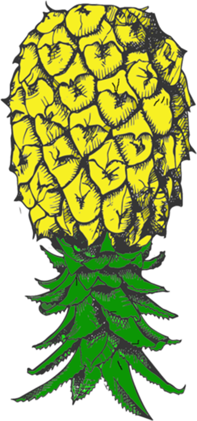 Upside Down Pineapple Gift Kids T-Shirt