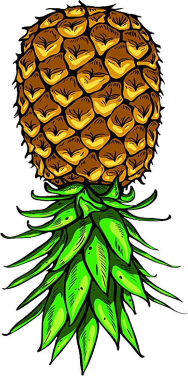Upside Down Pineapple Gift Tropical Swinger Party Gift Kids T-Shirt
