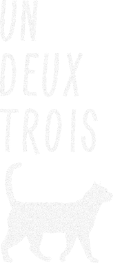 Un Deux Trois Cat Funny French Teacher Gift Toddler Hoodie