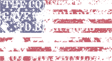 Usa Flag Constitution 2a Tee Right Not The Privilege Gift Button