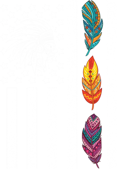 Usa Flag Feather Native American Heritage Day Indian Gift Meaningful Gift Women's Long Sleeve Shirt