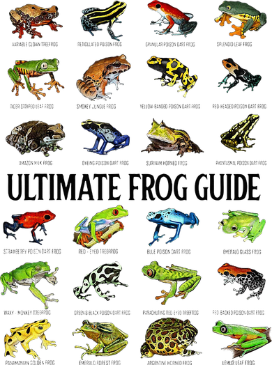 Ultimate Frog Guide Funny Frog Lovers Toddler Sweatshirt