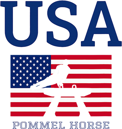 Usa Flag Pommel Horse Gymnastics Team American Gymnast Baby Bodysuit