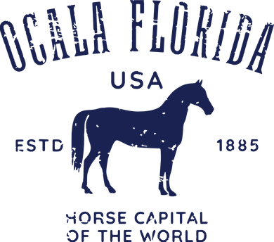 USA Horse Capital Distressed Equestrian Design Ceramic Ornament