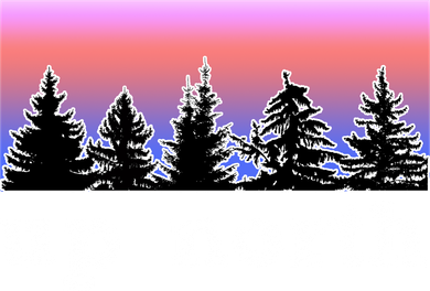 UpNorth Sunset Pine Tree Lake Life Nature Women's Tank Top