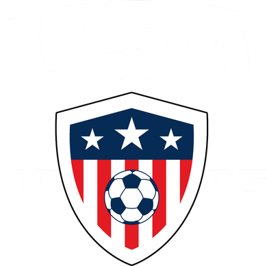 Vintage USA Soccer 1885 Button