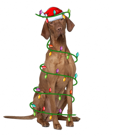 Ugly Sweater Style Xmas Lights Santa Vizsla Dog Christmas Gift Tote Bag