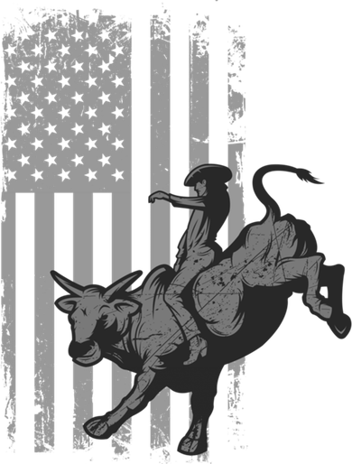 Vintage American Flag Bucking Bull Riding Patriotism Rodeo Cute Gift Women's Sweatshirt