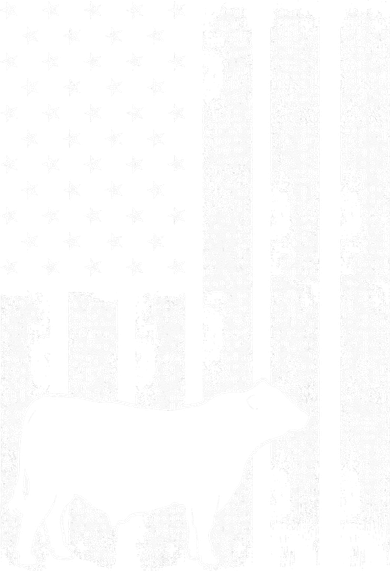 Vintage American Flag USA Cow Black Angus Rancher Baby Bodysuit