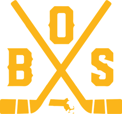 Vintage Boston Hockey Sticks State Outline Kids Hoodie