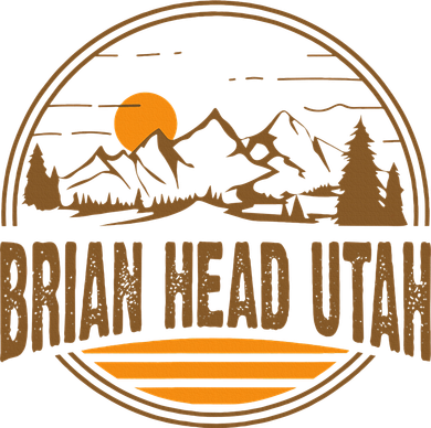 Vintage Brian Head Utah Mountain Hiking Souvenir Button