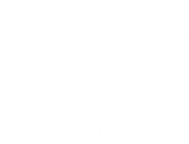 Virginia Beach Virginia Va Vintage Sports Kids Hoodie