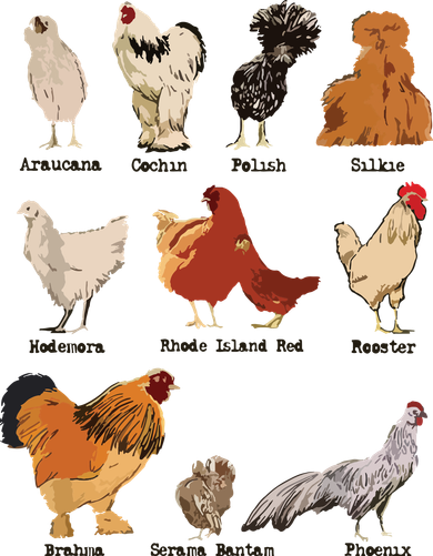 Vintage Chicken Breeds Farm Animals Day Support Local Farmer Doggie Tank