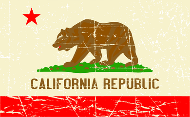 Vintage California Republic Flag Tumbler