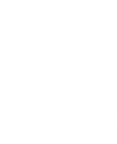 Vintage Canada Flag Canadian Flag Maple Leaf Apron
