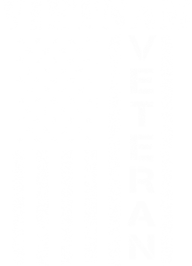 Vietnam Combat Veteran Flag Patriotic Veterans Day Gift Toddler Hoodie