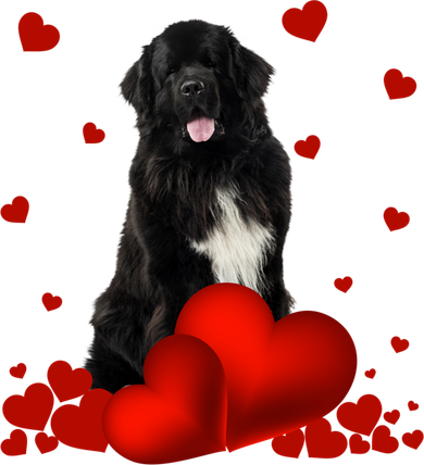 Valentines Day Love Hearts Newfoundland Dog Puppy Lover Gift Toddler Long Sleeve