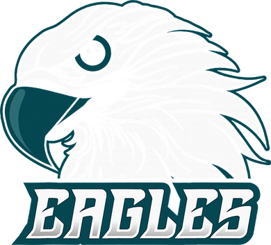 Vintage Eagles Flying Bird Inspirational T-Shirt