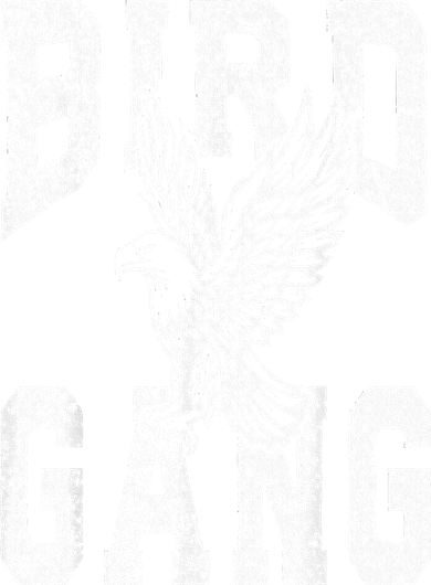 Vintage Eagles Flying E.A.G.L.E.S Fly Bird Gang Inspirational T-Shirt
