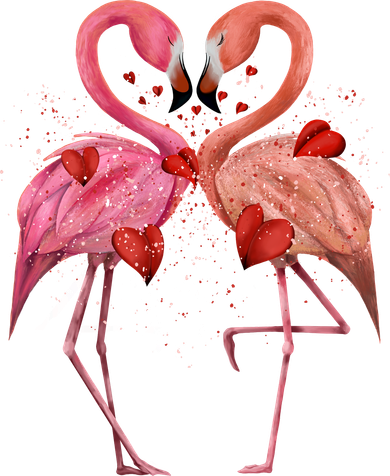 Valentine Flamingos Women's Hoodie