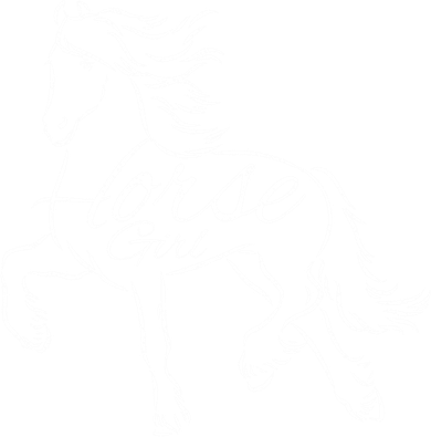 Vintage Horse Lover Who Love Horses Gift Women's T-Shirt