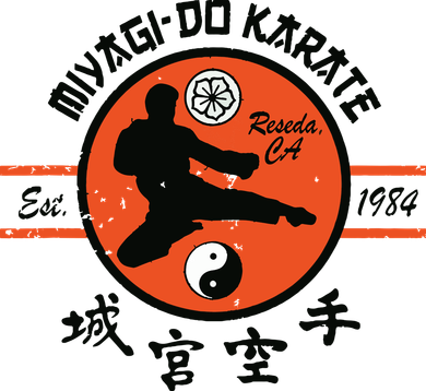 Vintage Miyagido Karate Polo