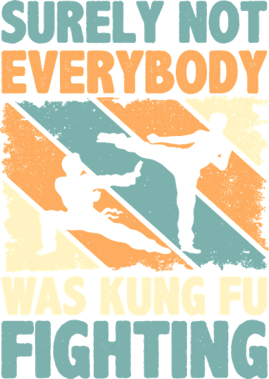 Vintage Outfit Surely Not Everybody Was Kung Fu Fighting Kids Hoodie