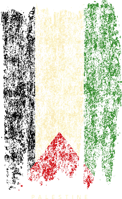 Vintage Palestine Flag Retro Palestinian Flag Palestinian Tote Bag