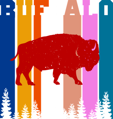 Vintage Retro Buffalo Santa Hat