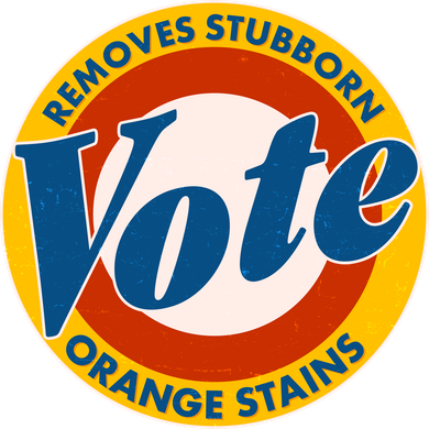 Funny VOTE Removes Stubborn Orange Stains Bucket Hat