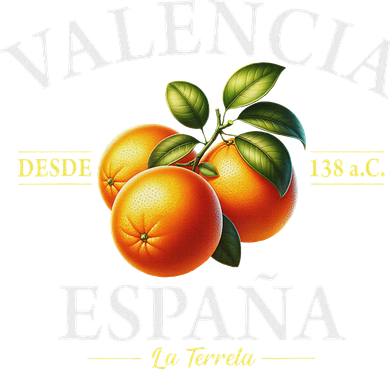 Valencia Spain La Terreta Oranges Since 138 Bc Women's Hoodie