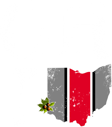 Vintage State Of Ohio Women's Tank Top