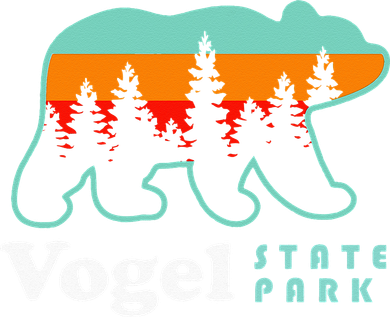 Vogel State Park Camping Georgia Lake Bear Women's Hoodie