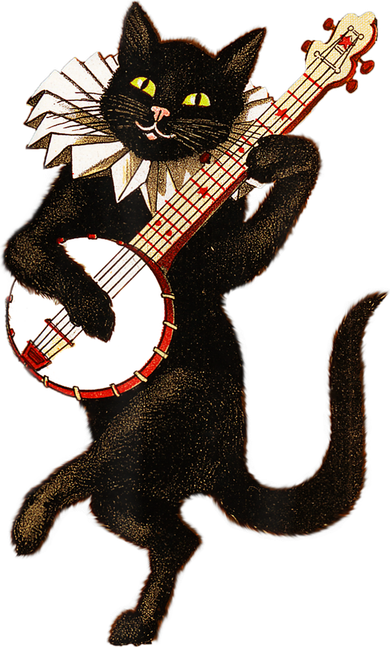 Vintage Silly Weird Cat Playing Banjo Country Cat Lover Gift TShirt Women's Hoodie