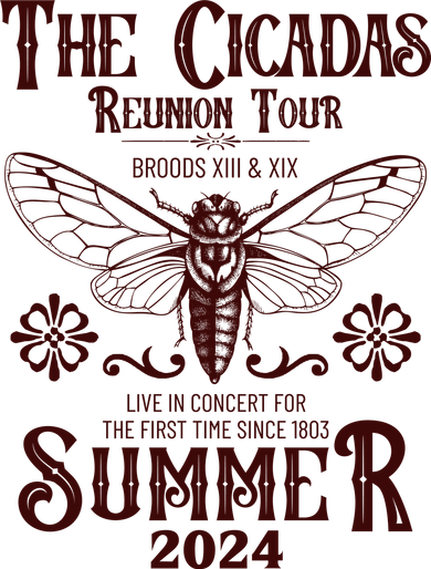 Vintage The Cicadas Reunion Tour Broods Xiii And Xix Summer 2024 Kids Hoodie