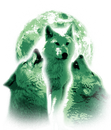 Vintage Three Wolves Moon Design Tote Bag