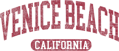 Vintage Venice Beach Est 1905 California Ca Retro Throwback Toddler Hoodie