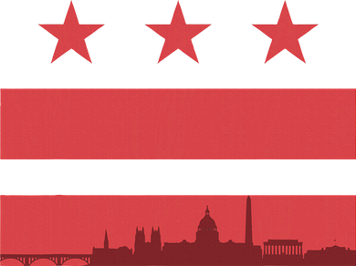 Vintage Washington Dc Retro Flag Tank Top