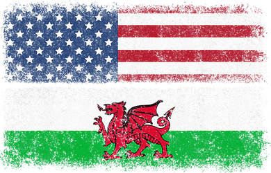 Welsh American Flag Wales Usa Pride America Women's Long Sleeve Shirt