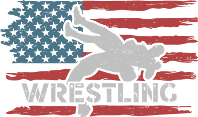 Wrestling American Flag Ring Athlete Wrestler Coach Premium Toddler Hoodie