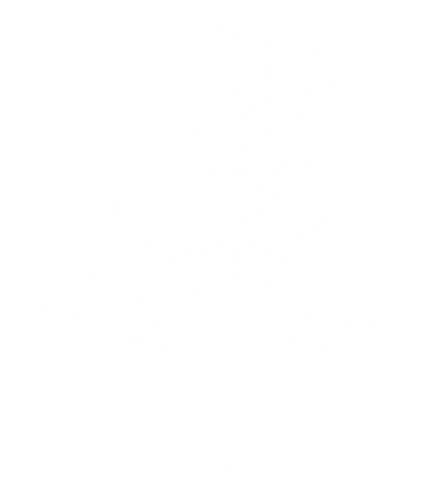 Vintage Walrus Squad Women's Sweatshirt