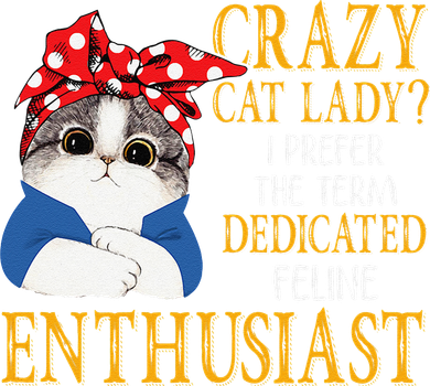 Womens Crazy Cat Lady I Prefer The Term Dedicated Feline Enthusiast Kids Sweatshirt