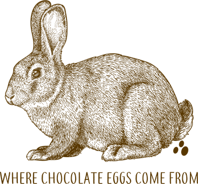 Where Chocolate Eggs Come From Coaster