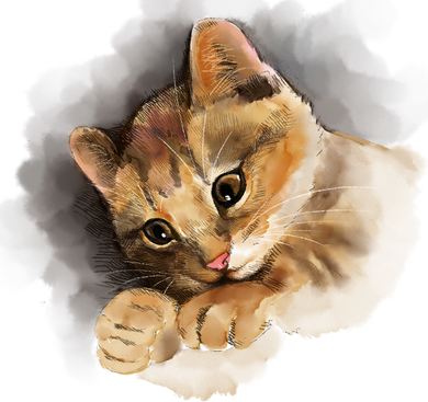 Watercolor Cat Illustration Coaster