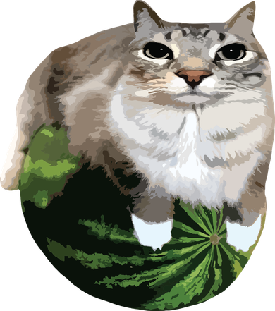 Watermelon Cat Silly Cat Meme Hat