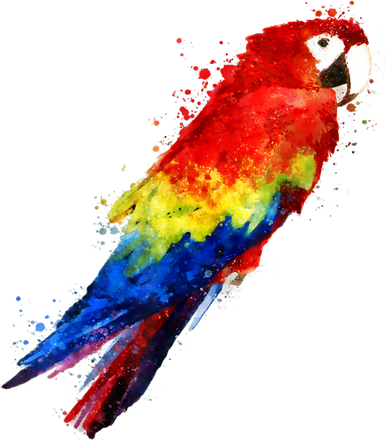 Watercolour Colourful Scarlet Macaw Parrot Bird Painting Kids Hoodie