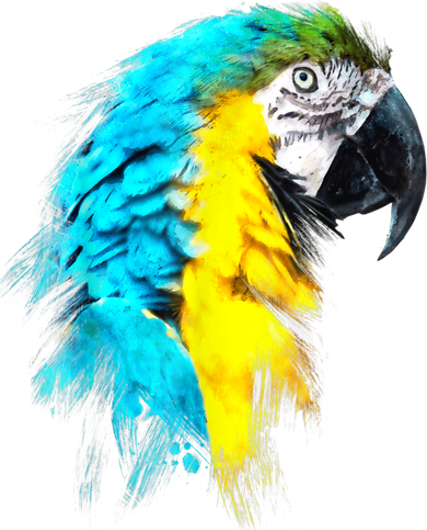 Watercolor Colourful Scarlet Macaw Parrot Bird Painting Kids Hoodie