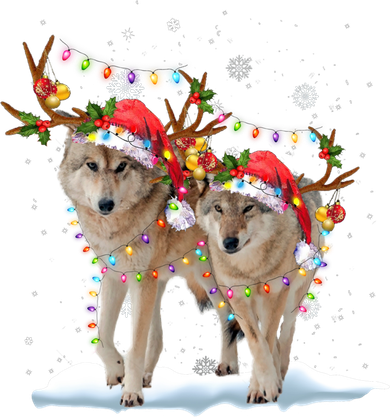 Wolf Christmas Santa Hat Tree Lights Xmas Funny Wolf Gift Women's Sweatshirt