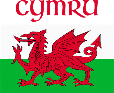 Wales Cymru Welsh Flag Kids Sweatshirt